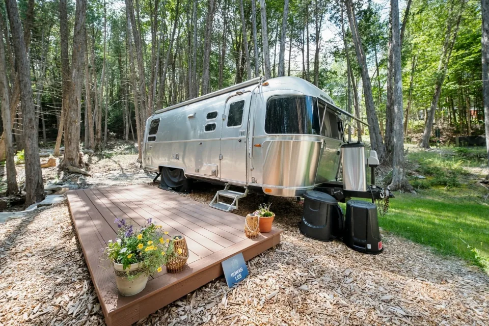 Dragonwood Airstream and timber deck among the summer trees